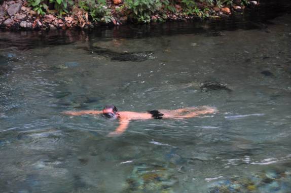 Mergulhando no rio azulado e cristalino em Azuis, distrito de Aurora do Tocantins - TO